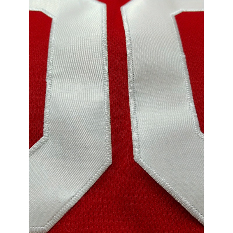 Özelleştirilmiş İsim ve Numara - Embroidery Jersey incelemesi ve fiyatı